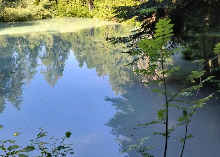 샬레 O Bercail De Basse Montagne 7' De Vercorin Chalais