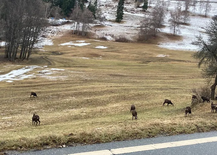 O Bercail De Basse Montagne 7' De Vercorin